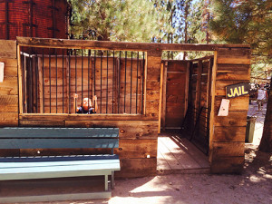 Big Bear Renaissance